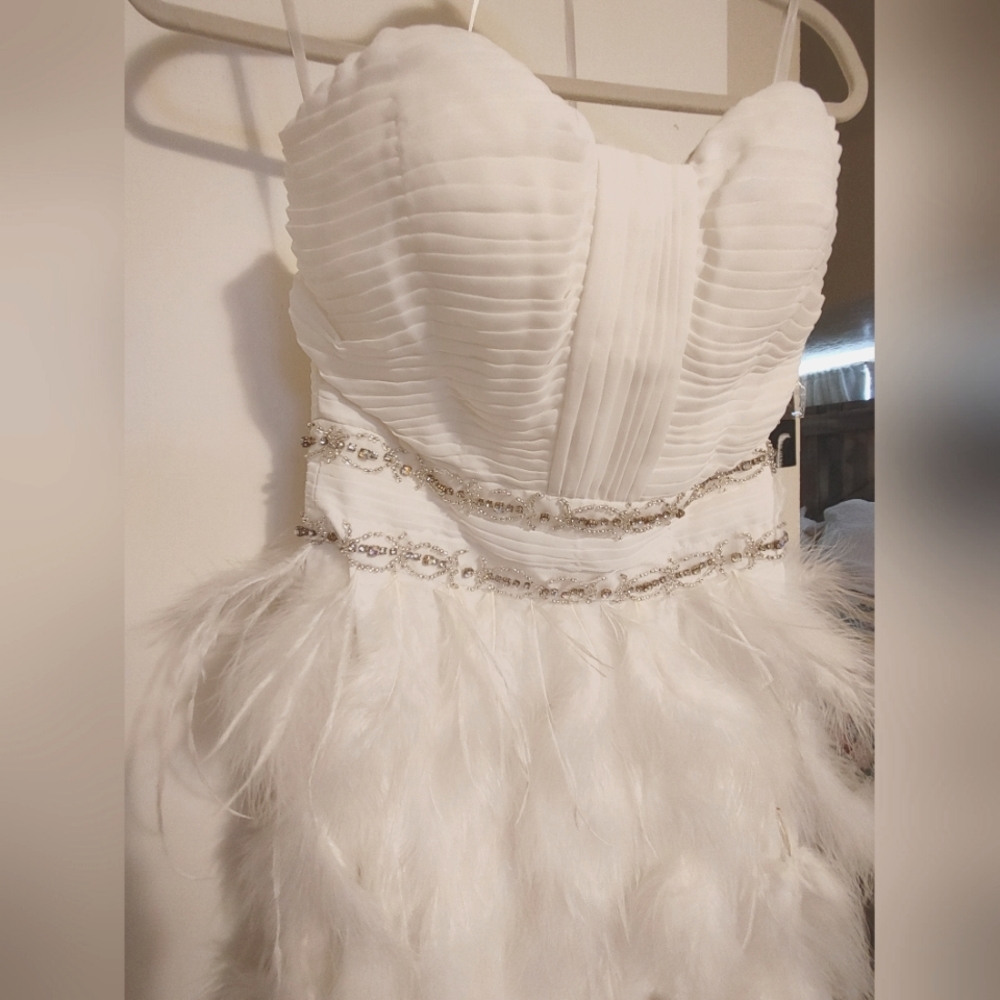 Anna Elise ostrich feather size 2 gown.
